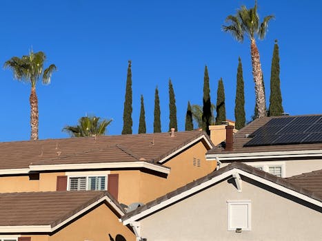 Retirement home with palm trees